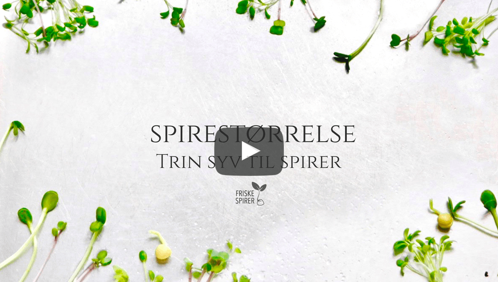 Spirestoerrelse FRISKE SPIRER