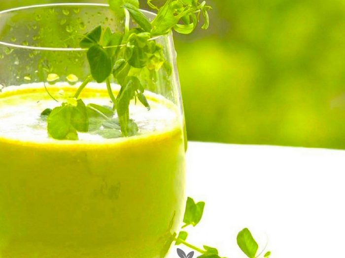 Groen juice med spirer og aerteskud FRISKE SPIRER