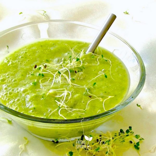 Smoothie med lucernespirer FRISKE SPIRER
