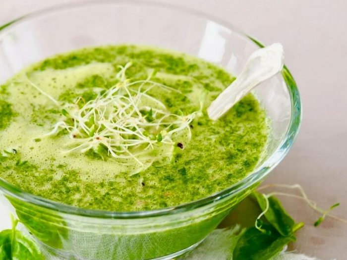 Smoothie med oekologiske broccolispirer FRISKE SPIRER