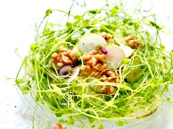Aerteskud salat med paere, valnødder, sennepsspirerog avocado FRISKE SPIRER