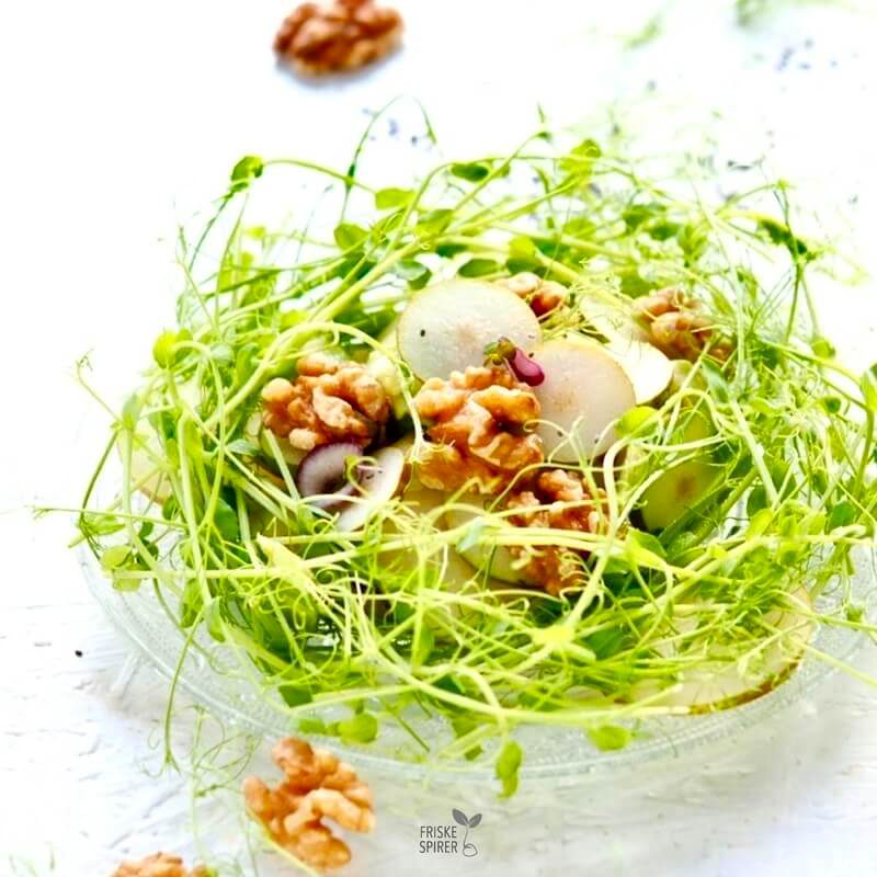 Aerteskud salat med paere, valnødder, sennepsspirerog avocado FRISKE SPIRER