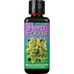 Mikrogroent gødning Herb Focus FRISKE SPIRER
