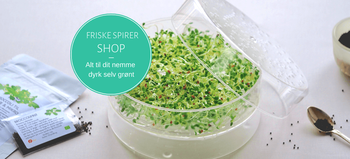 dyrk selv spirer header