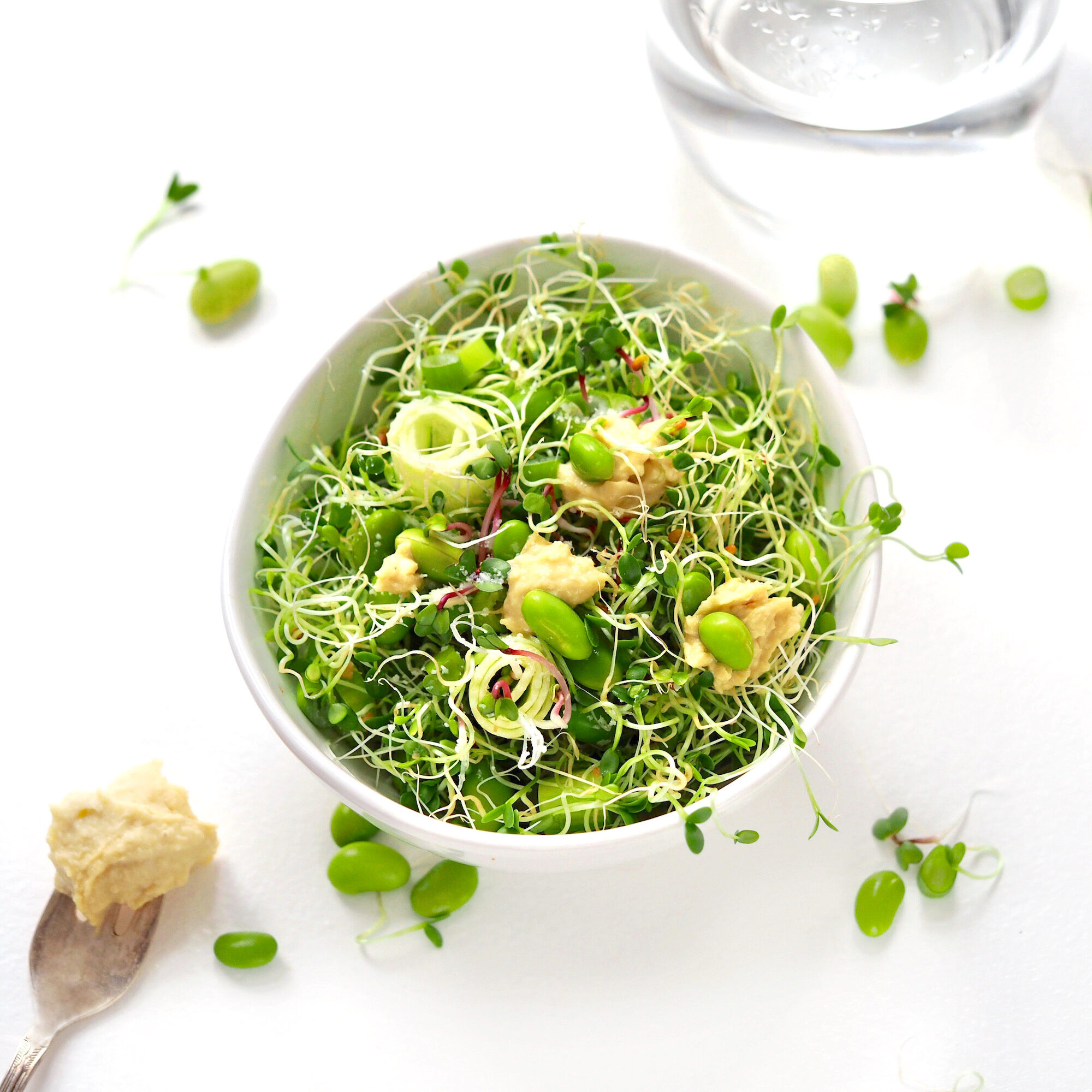 Spiresalat med kloever og radisespirer