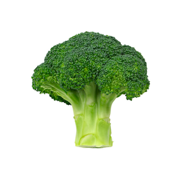 oekologiske havefroe broccoli