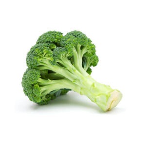 oekologiske havefroe til frisk broccoli