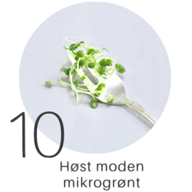 trin 6 mikrogroent guide