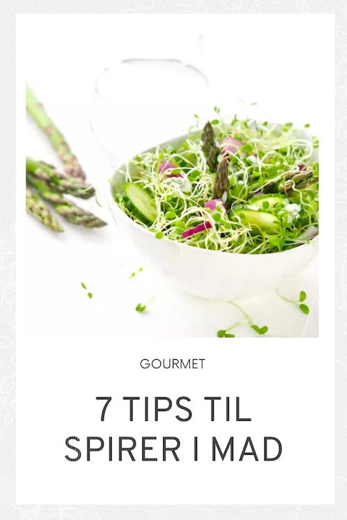 7 tips til spirer i din mad