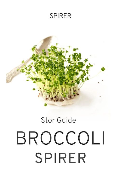 Stor guide til Broccolispirer