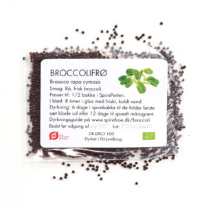 Broccoli Rapa 3 gram økologiske spirefrø fra FRISKE SPIRER