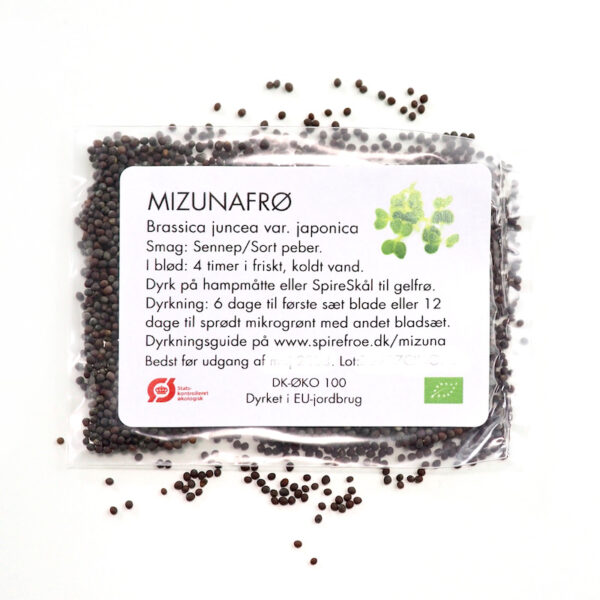 Mizuna Grøn 3 gram økologiske spirefrø fra FRISKE SPIRER