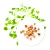 Økologiske Lucerne frø til Spirer og Mikrogrønt