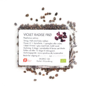 Violet Radise 5 gram økologiske spirefrø fra FRISKE SPIRER
