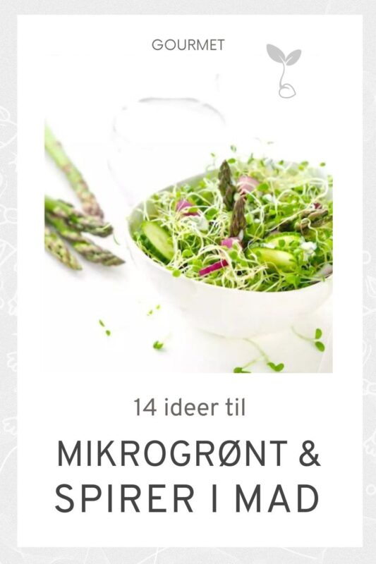 14 ideer til Spirer og Mikrogrønt i mad