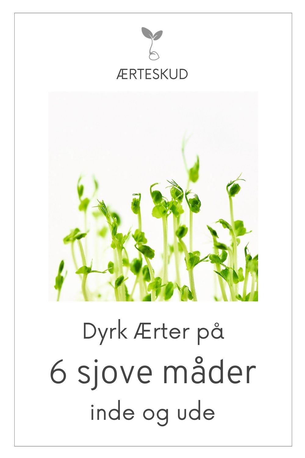 Dyrk Ærter på 6 sjove måder ude og inde hele året