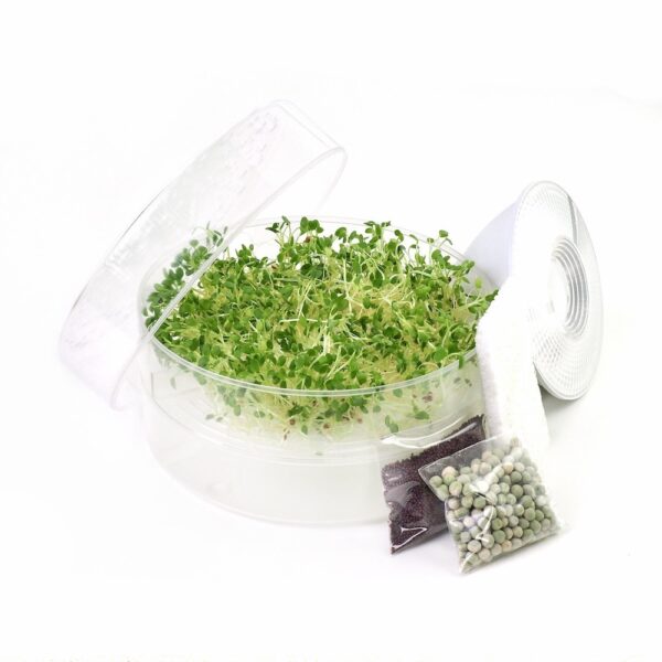 Mikrogrønt lille startkit med vækstlys og spirefrø