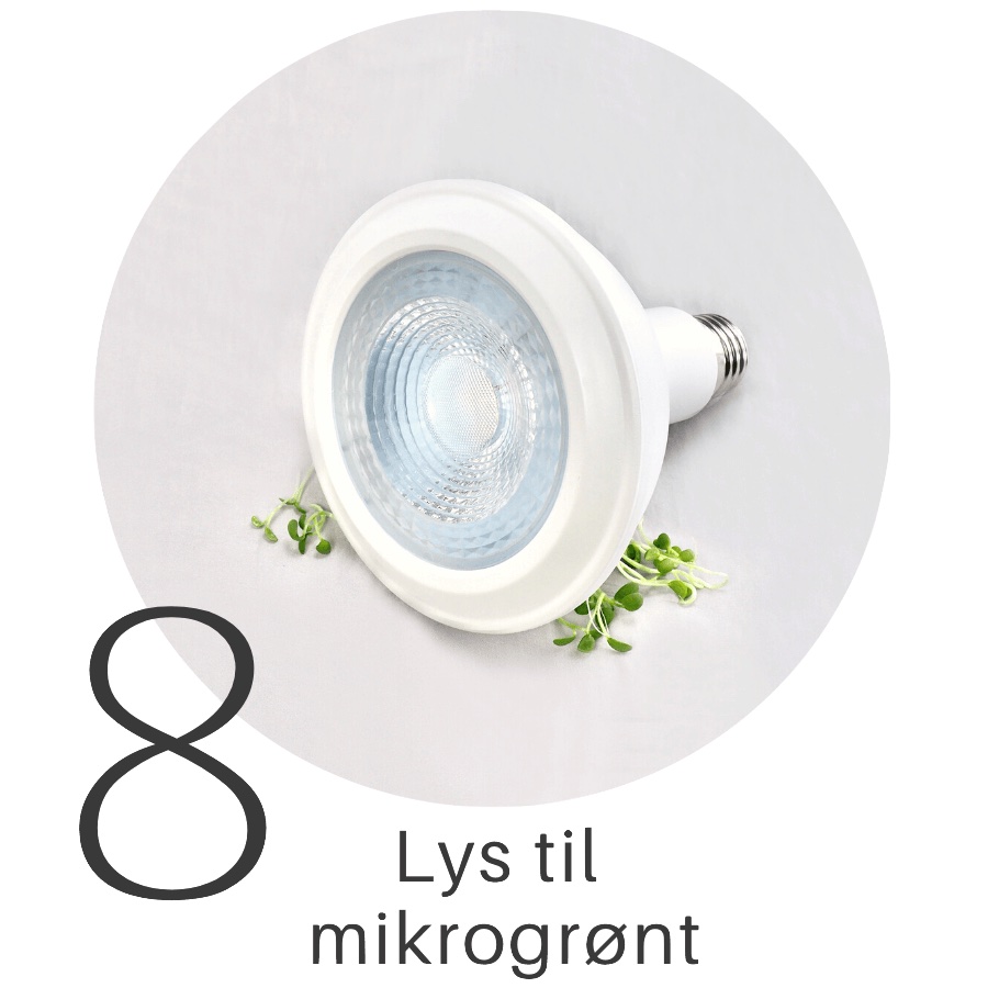 Mikrogrønt på hampmåtte 8