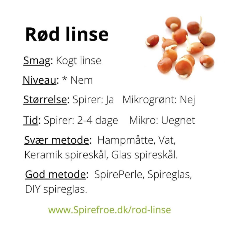 Spiser Roe Køb Rød linse økologiske spirefrø til dyrk selv spirer - 100% ØKO