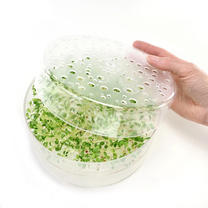 SpirePerle spirekasse spirebakke størrelse