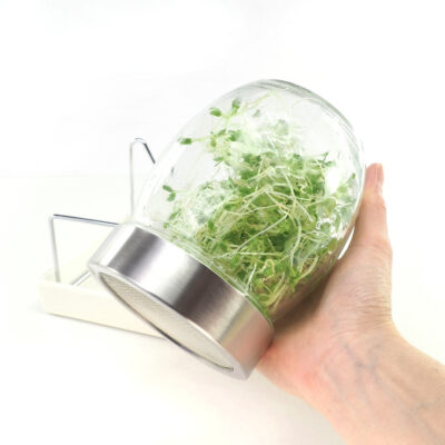 Spireglas 750 ml i hånd for størrelse