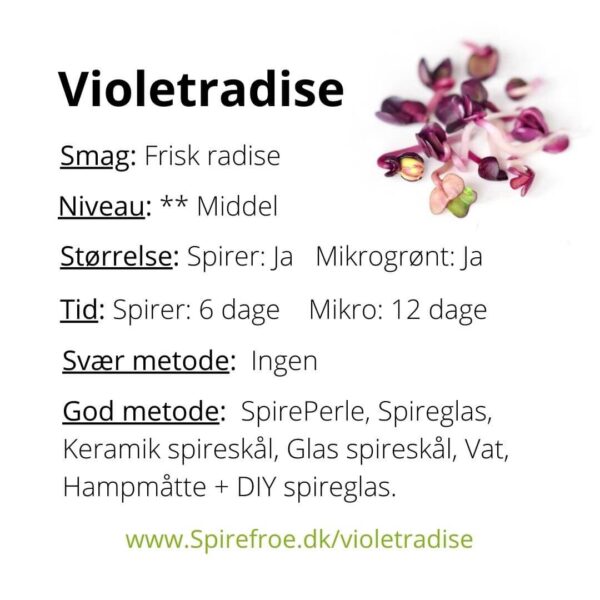 Violetradise spirer infokort
