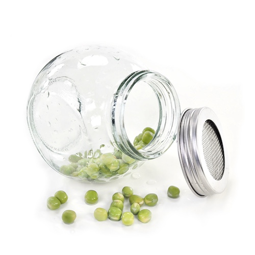 Spireglas 400 ml med ærtespirer