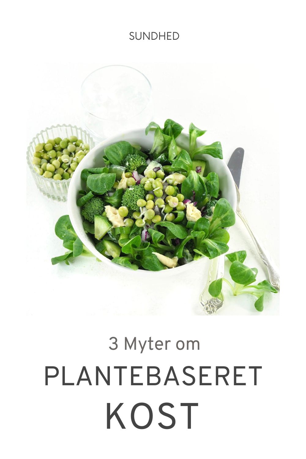 3 myter og sandheder om plantemad