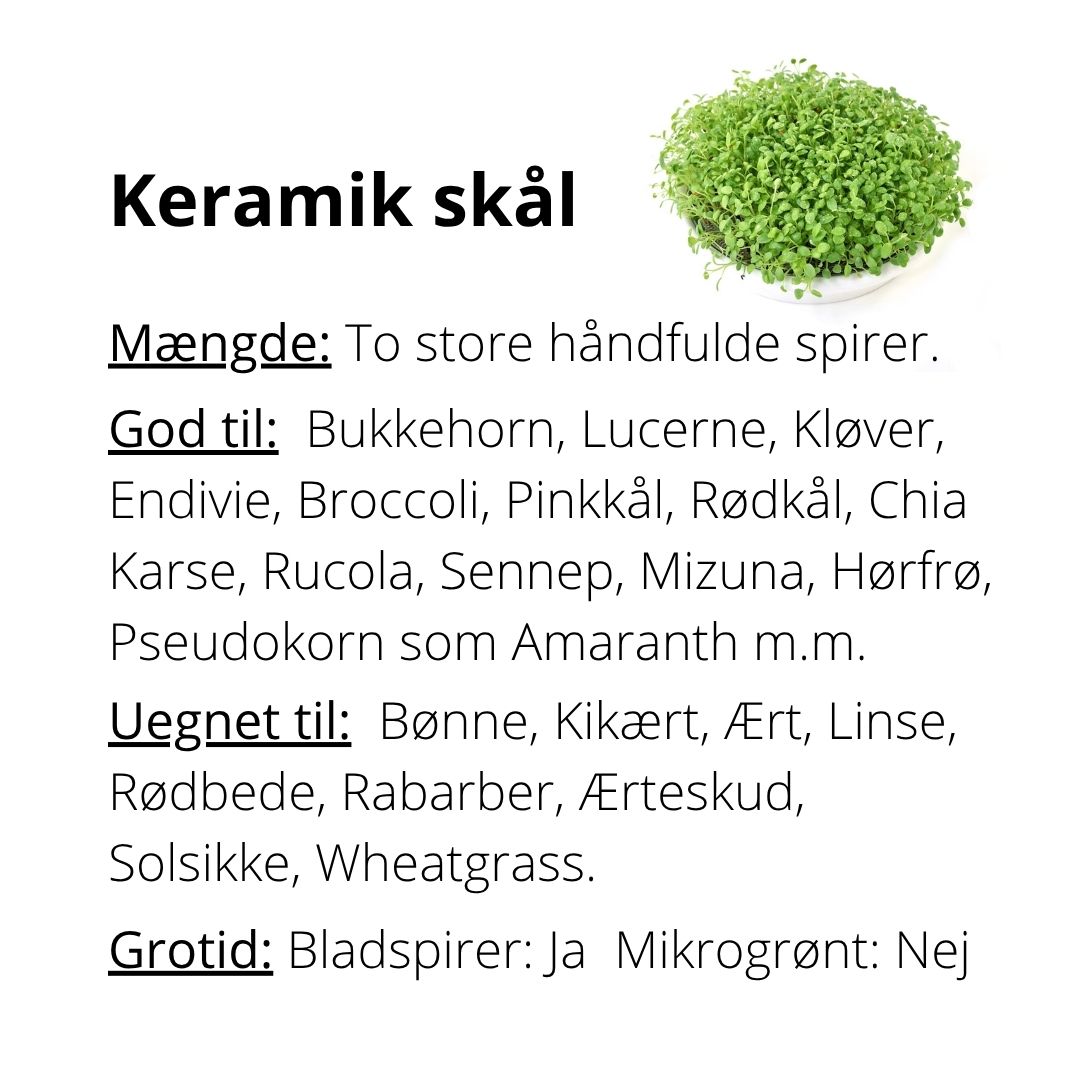 Keramik Spirebakke 16 cm til små eller geldannende frø - Billede 2