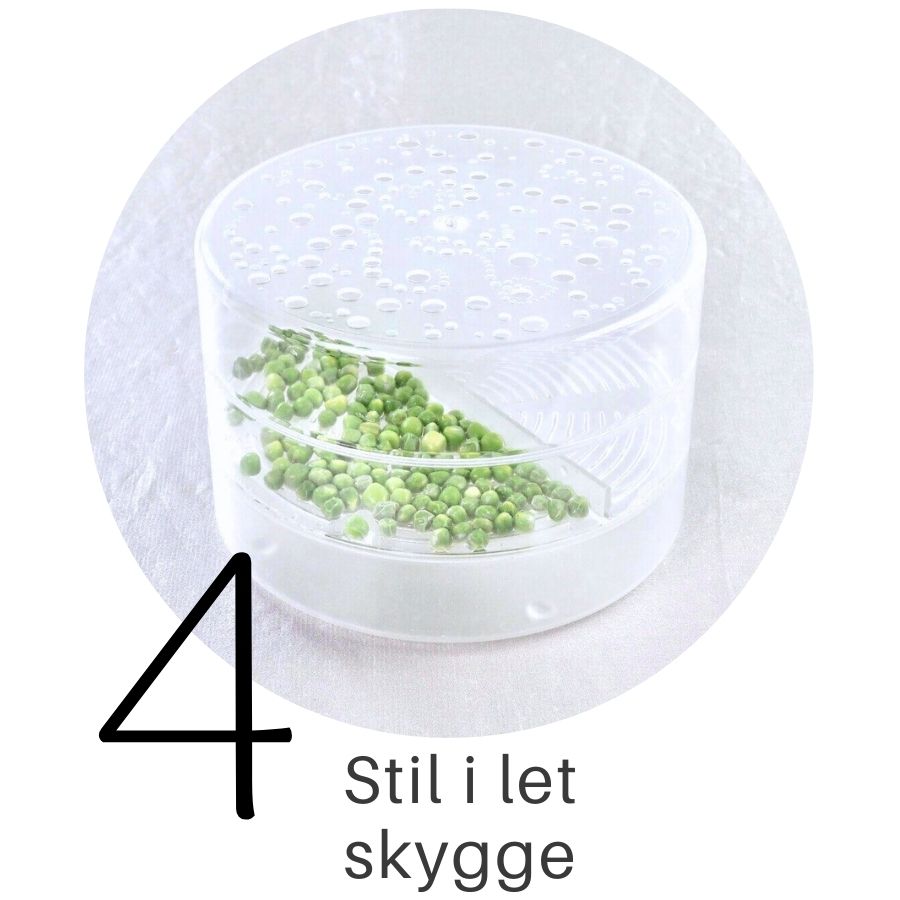 Ærter i SpirePerle trin 4
