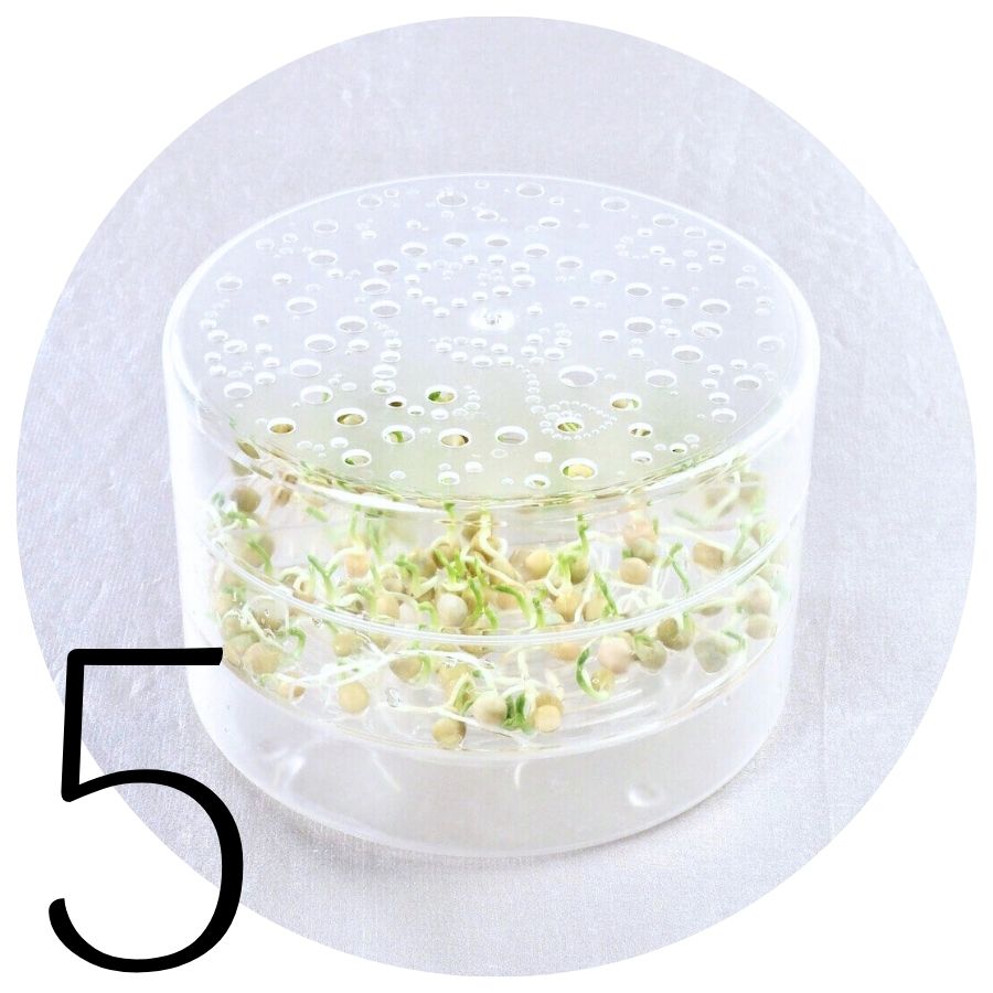 Ærteskud i SpirePerle 5