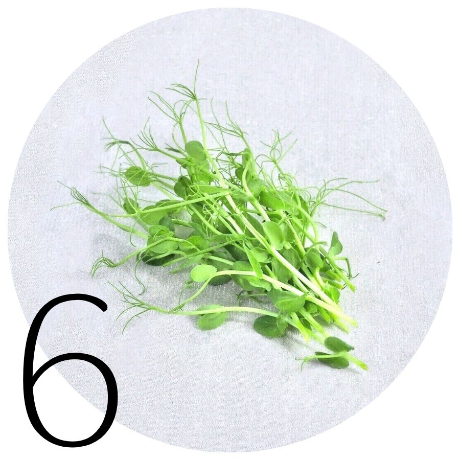 Ærteskud i SpirePerle 6