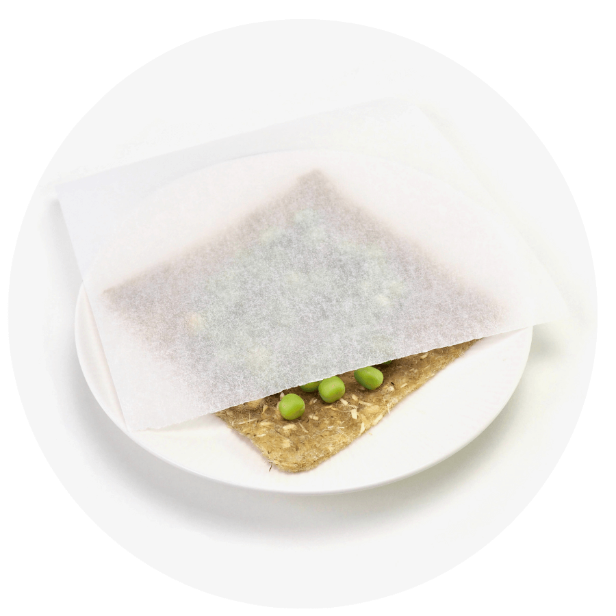 Ærteskud på hampmåtte trin 4