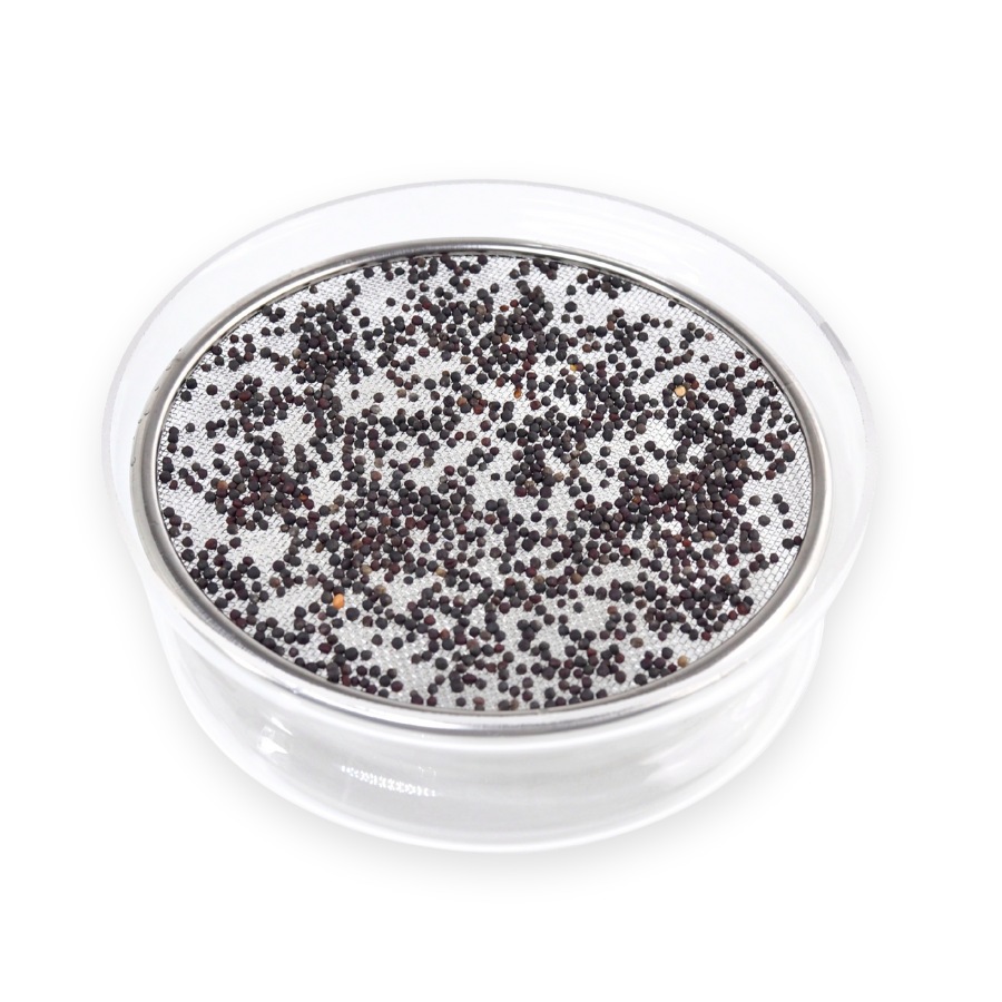 Fordel frø i glas SpireSkål