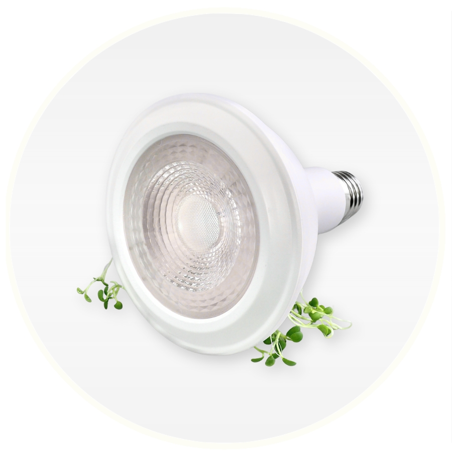 Hampmåtte mikrogrønt trin 7