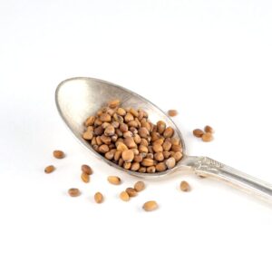 Pinkradise økologiske frø til spirer og mikrogrønt