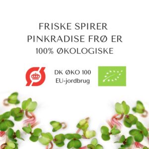 Pinkradise spirefrø infokort