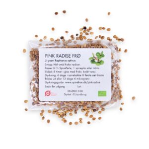 Pinkradisefrø danske økologiske spirefrø