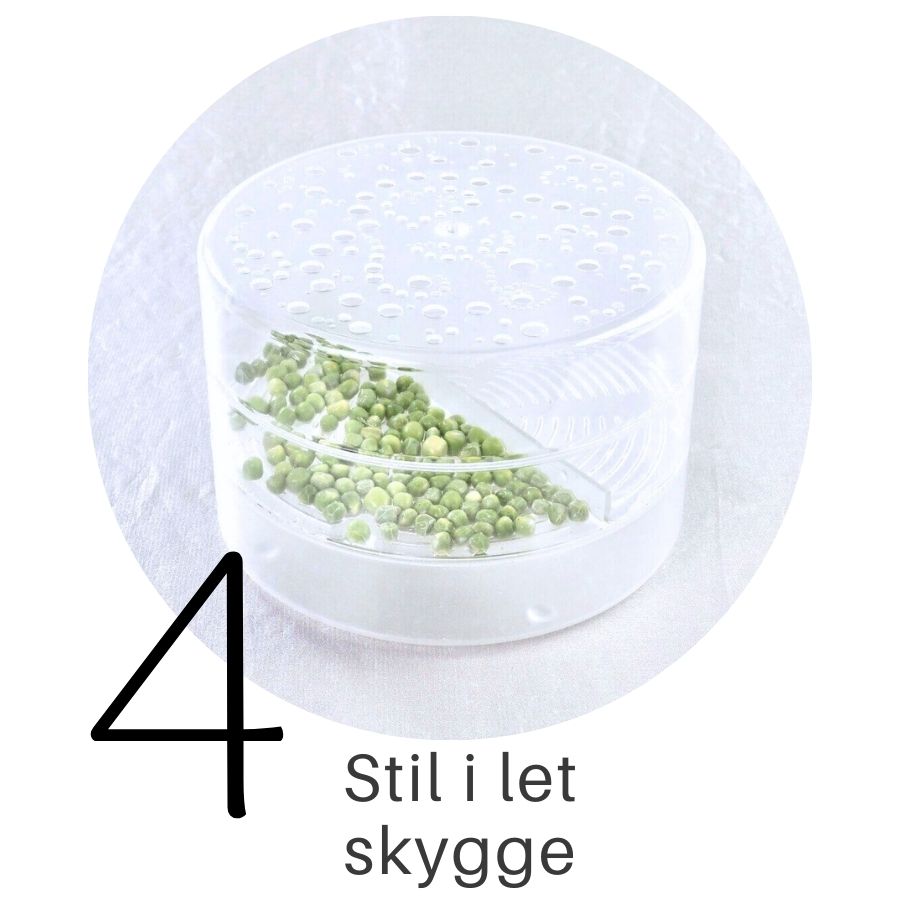 Ærteskud i SpirePerle trin 4