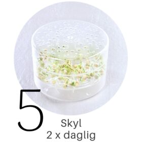 Ærteskud i SpirePerle trin 5