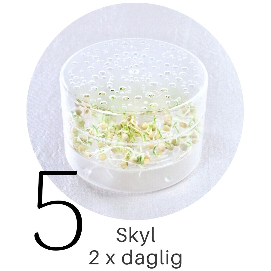 Ærteskud i SpirePerle trin 5