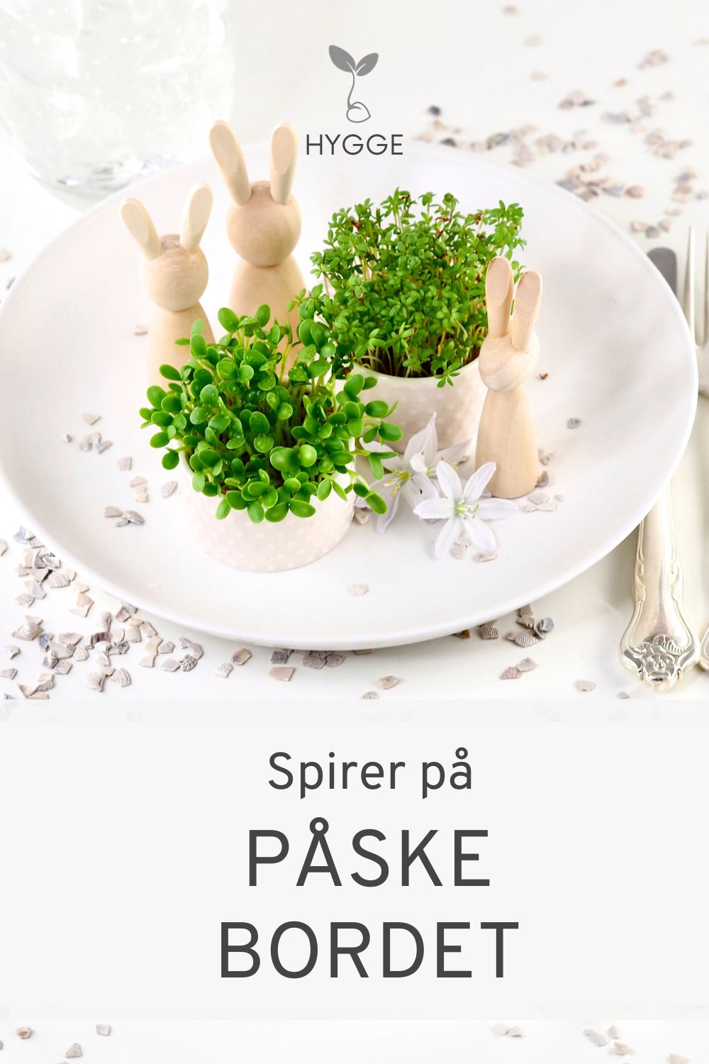 Påskehygge med friske spirer