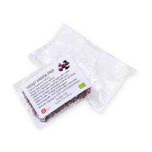 Påskekit Violetradise med økologisk vat