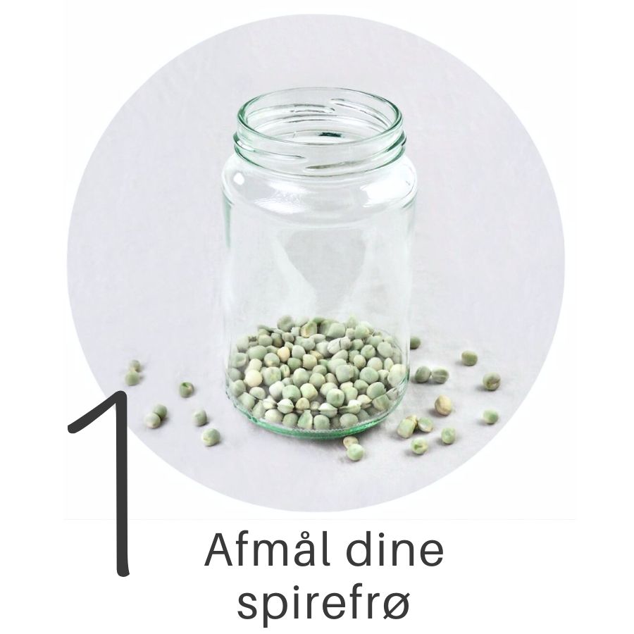 Trin 1 DIY spireglas til ærtespirer