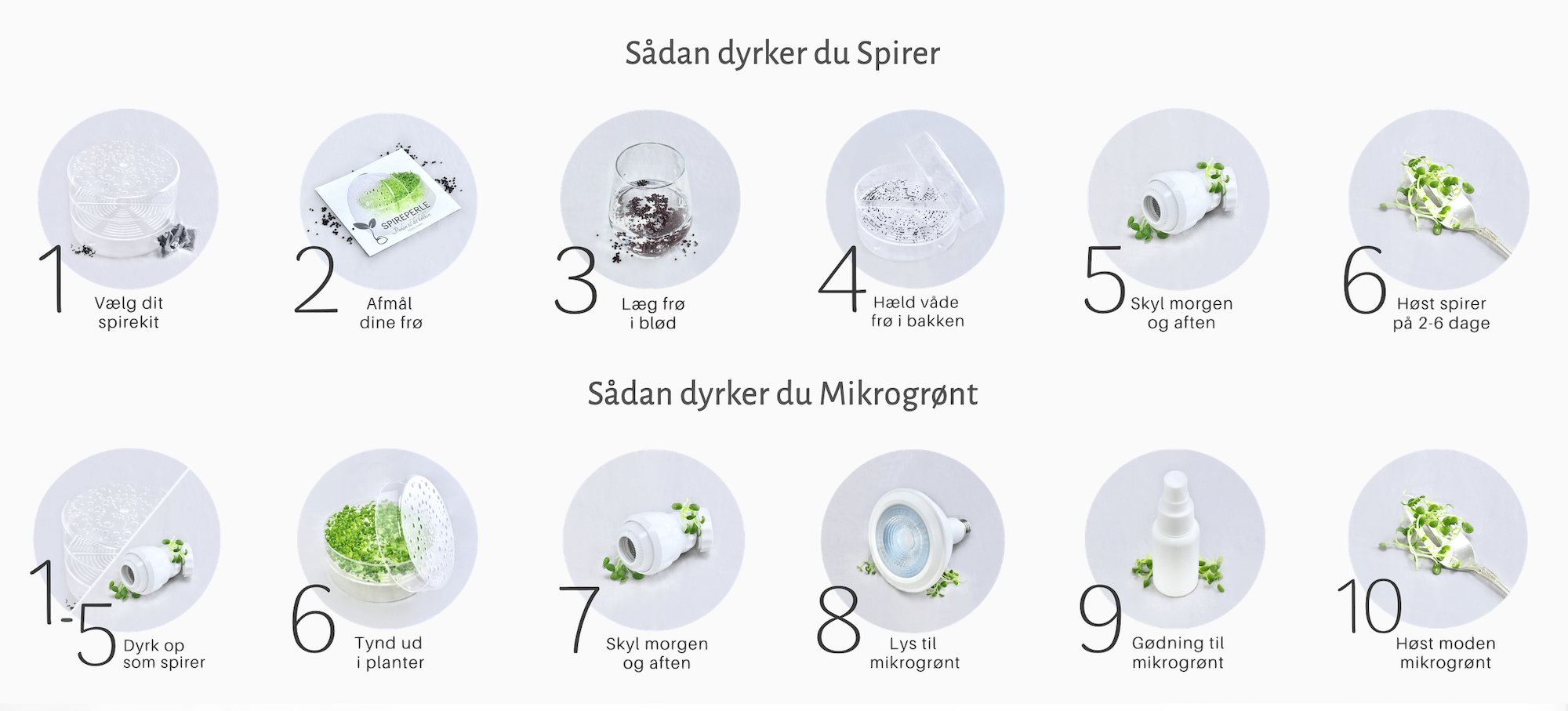 Guide til Spirer og Mikrogrønt