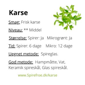Dyrk selv Karse spirer