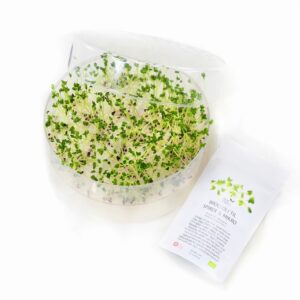 Broccolispirer spirebakke