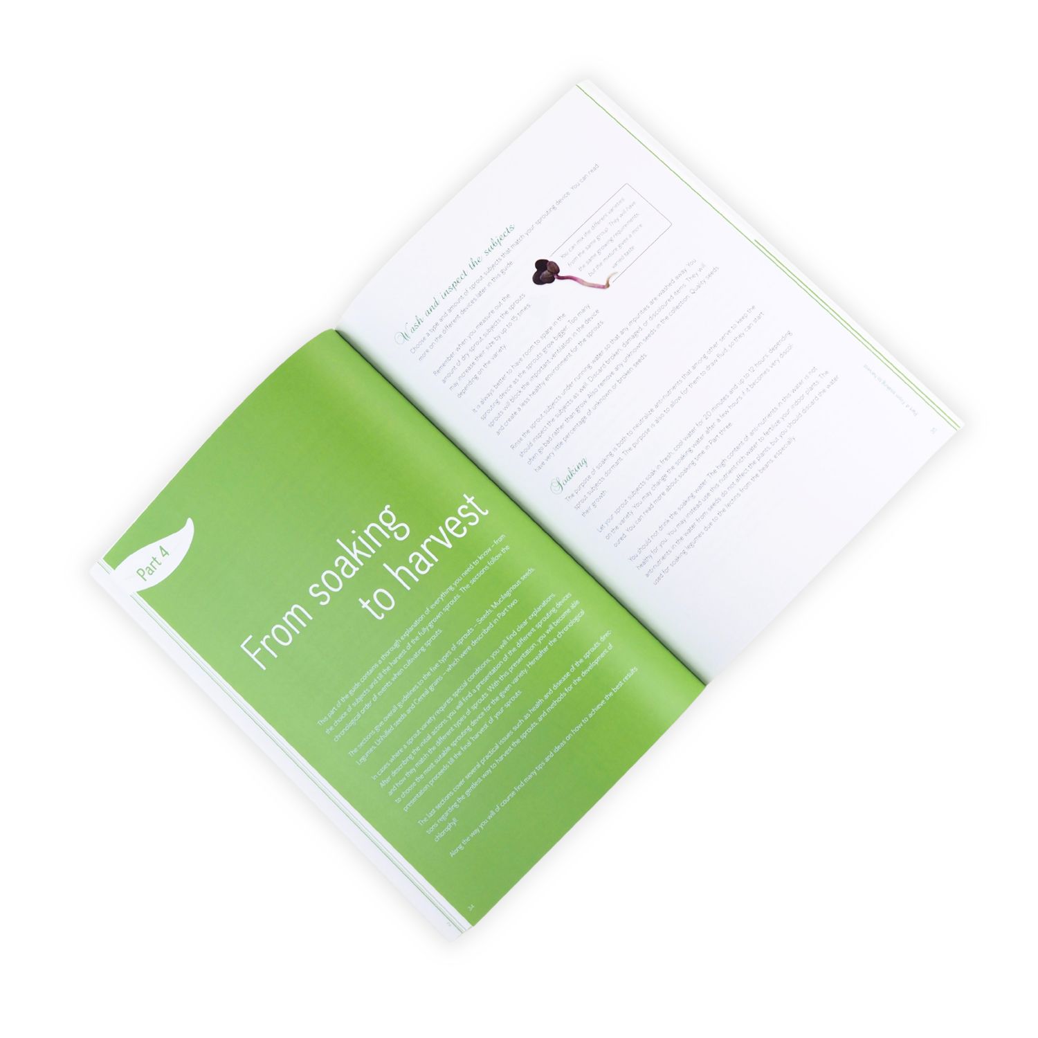 FRESH SPROUTS A Guide to Sprouting p 34