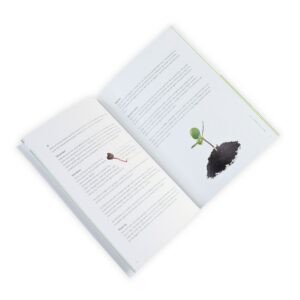 FRISKE SPIRER En Guide til Spirer spirebog s 30