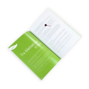FRISKE SPIRER En Guide til Spirer spirebog s 32